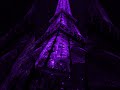 Shinunoga E Wa Fujii Kaze Lyrics Aesthetic Whatsapp Status English Songs Slowed Viral