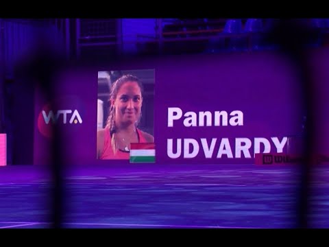 Udvardy Panna Amerikában készül a folytatásra