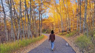 A Peaceful Autumn in Colorado Mountains