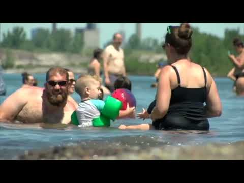 Summer Heat Safety