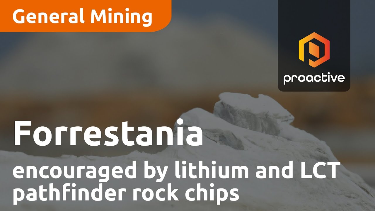 Forrestania encouraged by lithium and LCT pathfinder rock chips