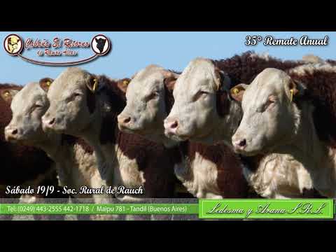 Próximo Remate de Cabaña El Retorno de Ramón Alías - Sábado 19 de Septiembre de 2020