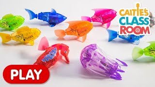 Learn Colors with Amazing Robot Fish! | Caitie&#39;s Classroom