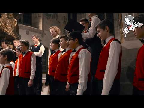 BONIFANTES: Vytautas Miškinis: Gloria in excelsis II (Live)