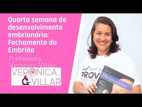 Embriologia Geral. Quarta semana de desenvolvimento embrionário: Fechamento do embrião.
