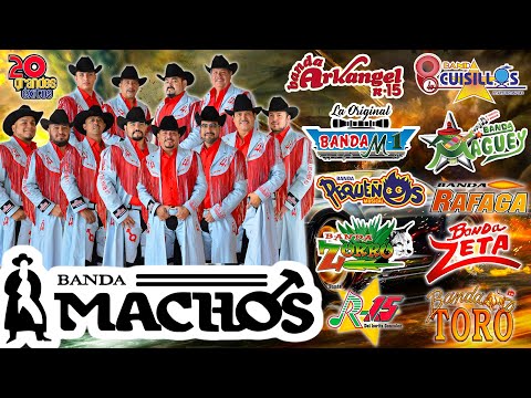 Banda Machos, Banda Maguey, Banda cuisillos, Banda El Recodo,... ✅ Tecno Bandas Mejor Musica