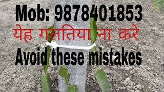 preview picture of video 'Dragon fruit farm in punjab part-3 / mistakes and remedies/ galtiyan aur samadhan. 9878401853'