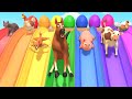 Baby Learn Colors With Rainbow Song Farm Animals Nursery Rhymes Songs For Kids Toddlers Babies
