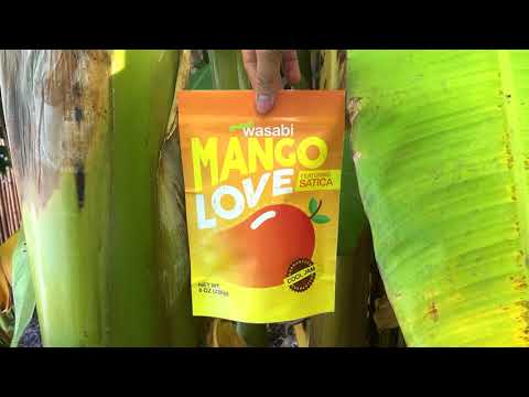 Shawn Wasabi - MANGO LOVE (ft. Satica) [Official Audio]