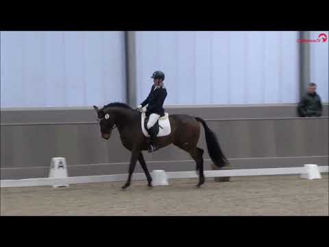 Eventyr v. Escolar/Lauries Crusador xx - Sportprüfung Teil II 2024