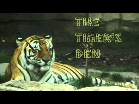 January 11th Trade What You See with Larry Pesavento on TFNN - 2016