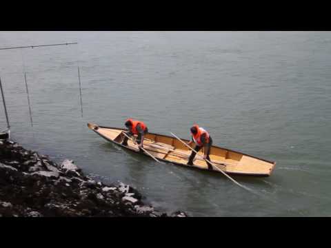 Zille Obenberg 1 (Silber) beim WLA in Mitterkirchen am 23.6.2017