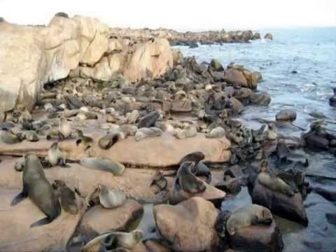 Brisa Marina de Sechura - Mix Recordando Exitos.