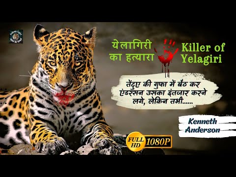 Anderson sat in the leopard's cave and waited for it, but then... Yelagiri Maneater Kenneth Anderson