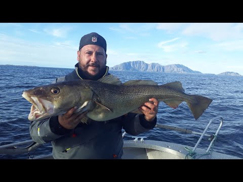 Angeln in Norwegen-August 2020 Ylvingen