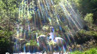 Pádraigín Ní Uallacháin - 'As I Roved Out'