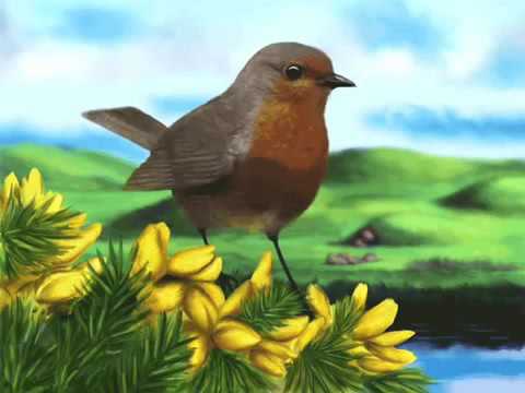 Mansa Paloma - Corazon Serrano