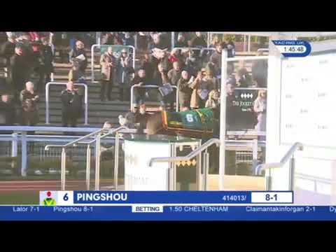 Lalor Arkle Trophy Trial Novices' Chase Cheltenham 2018