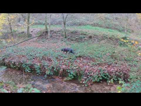 Trifterlebnispfad im Pfälzerwald