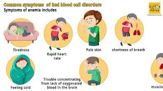 Red Blood Cells Disorders