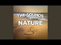 Gentle Night Relaxation