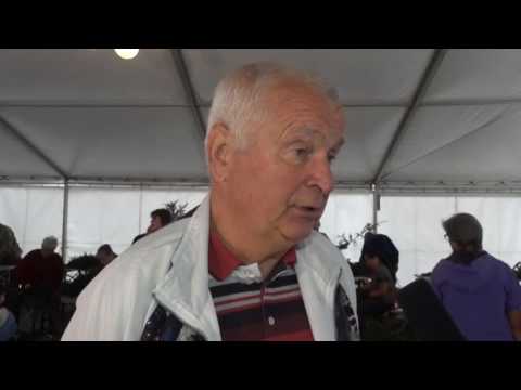 Forstfest in Kamenz startet - ELSTERWELLE