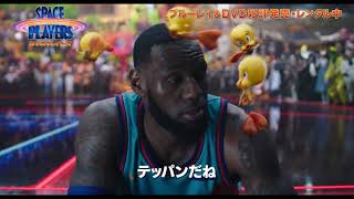 Trailer Preview Image