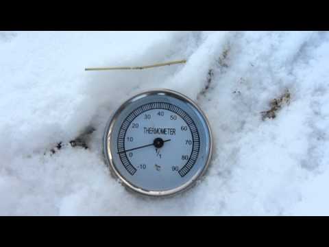 Humus kalifornijskih glista - temperatura pod snijegom