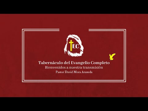 "El rompimiento del misterio del Séptimo Sello" | Domingo 21 de Agosto, 2022