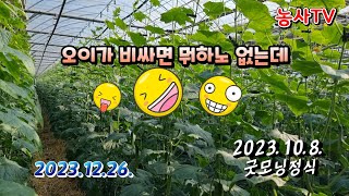 오이시세 장난아닙니다. 우리는 없어요.영상 안올리는 이유는 유튜브권태기 