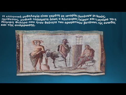 Βότανα: Μύθοι και Πραγματικότητες-Πρόγραμμα Περιβαλλοντικής