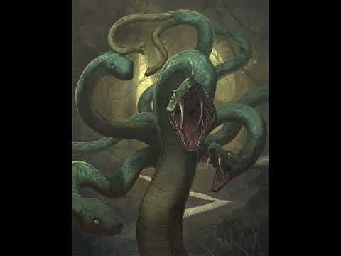 Młody Osa x Stopson - OROCHI [prod. Soulker]