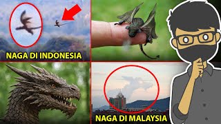 Download lagu 10 PENAMPAKAN NAGA ASLI DI DUNIA NYATA mp3