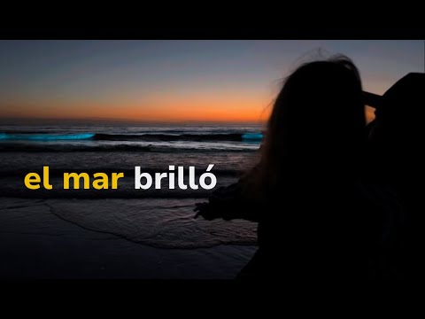 Las primeras Noctilucas - Silent Vlog