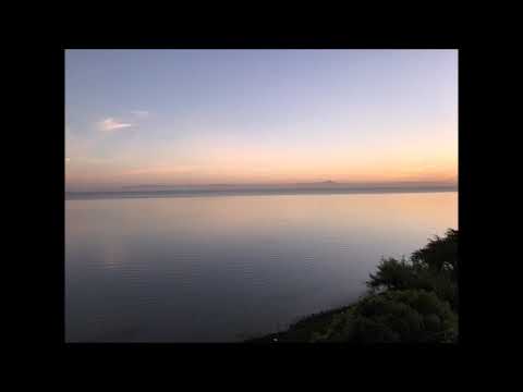 161 Alba Weinman - The Evolution of Gaia & An Upcoming Spiritual Experience