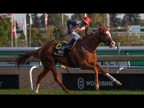 WIN FOR THE MONEY wins the 2024 Woodbine Mile (G1)