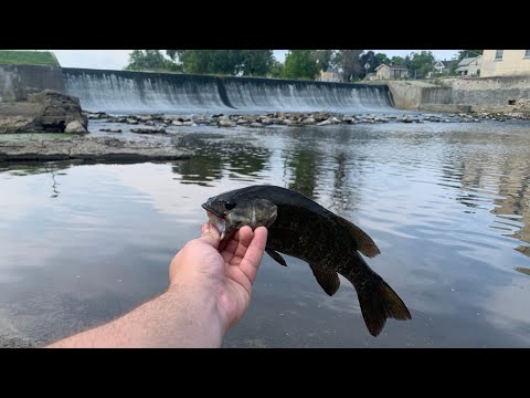 Fishing The Milwaukee River in Late Summer!!!