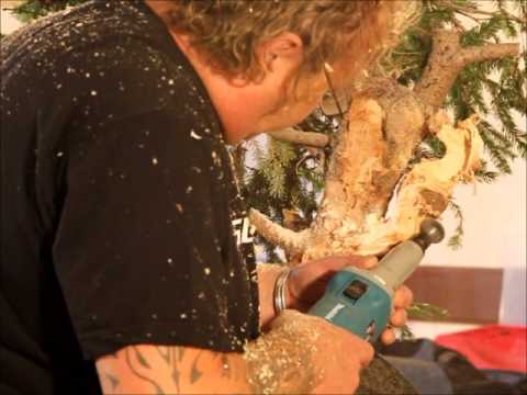 SandevBonsai - Kevin Willson Demo - Picea abies, PART I