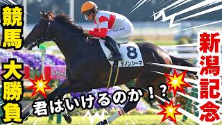 【競馬】10万円の大勝負します！ #予想 #競馬 #新潟記念