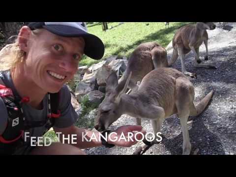 Australia Day Adventure - Salomon Ultra Running Academy 2017 - Nick Muxlow