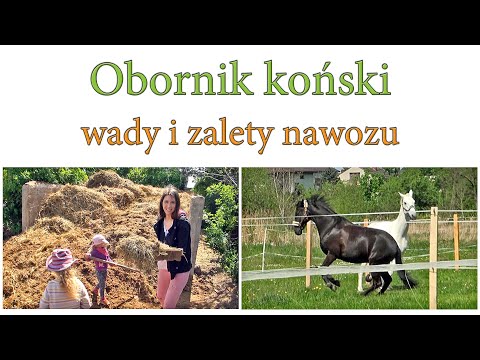 , title : 'Obornik koński - wady i zalety nawozu'