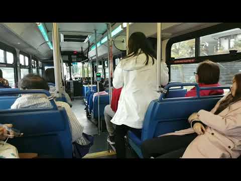 Vancouver Translink 1996 New Flyer D40LF - N7181