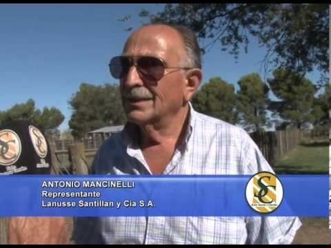 ANTONIO MANCINELLI - Representante - Lanusse Santillan y Cia S.A. - 26/02/2014
