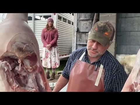 Old-Fashioned Hog Butchering: A Family Tradition