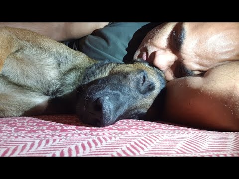 Refusal to obey a command pt 9