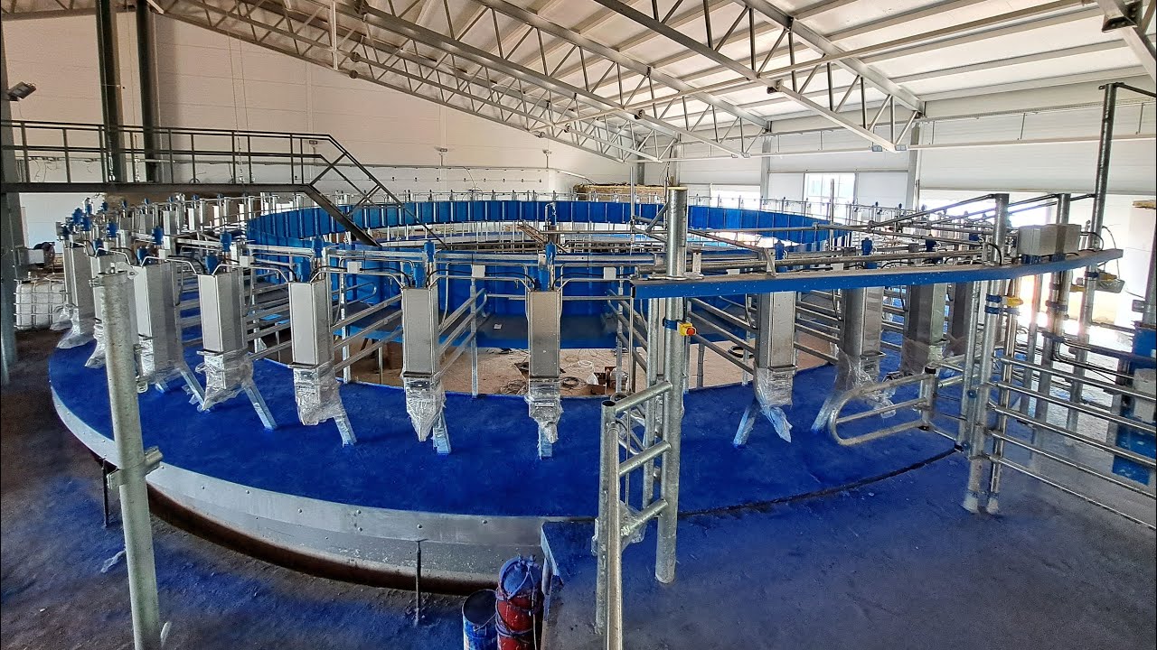 Доильный зал Карусель на 60 мест от DairyMaster