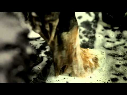 Yuck - Rubber (Official Music Video)