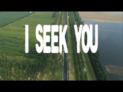 I Seek You - Levi Troast