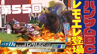 【第55回ハンサムBC】とらじろさん家のダービースタリオン#86