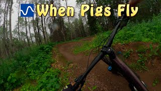 I don't mind riding in the rain...but awesome rip on When Pigs Fly - Burns Lake, BC
